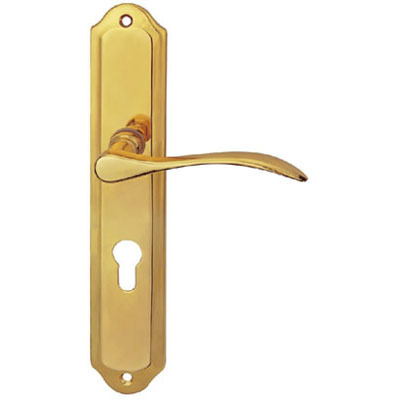 Brass Handle with Plate
